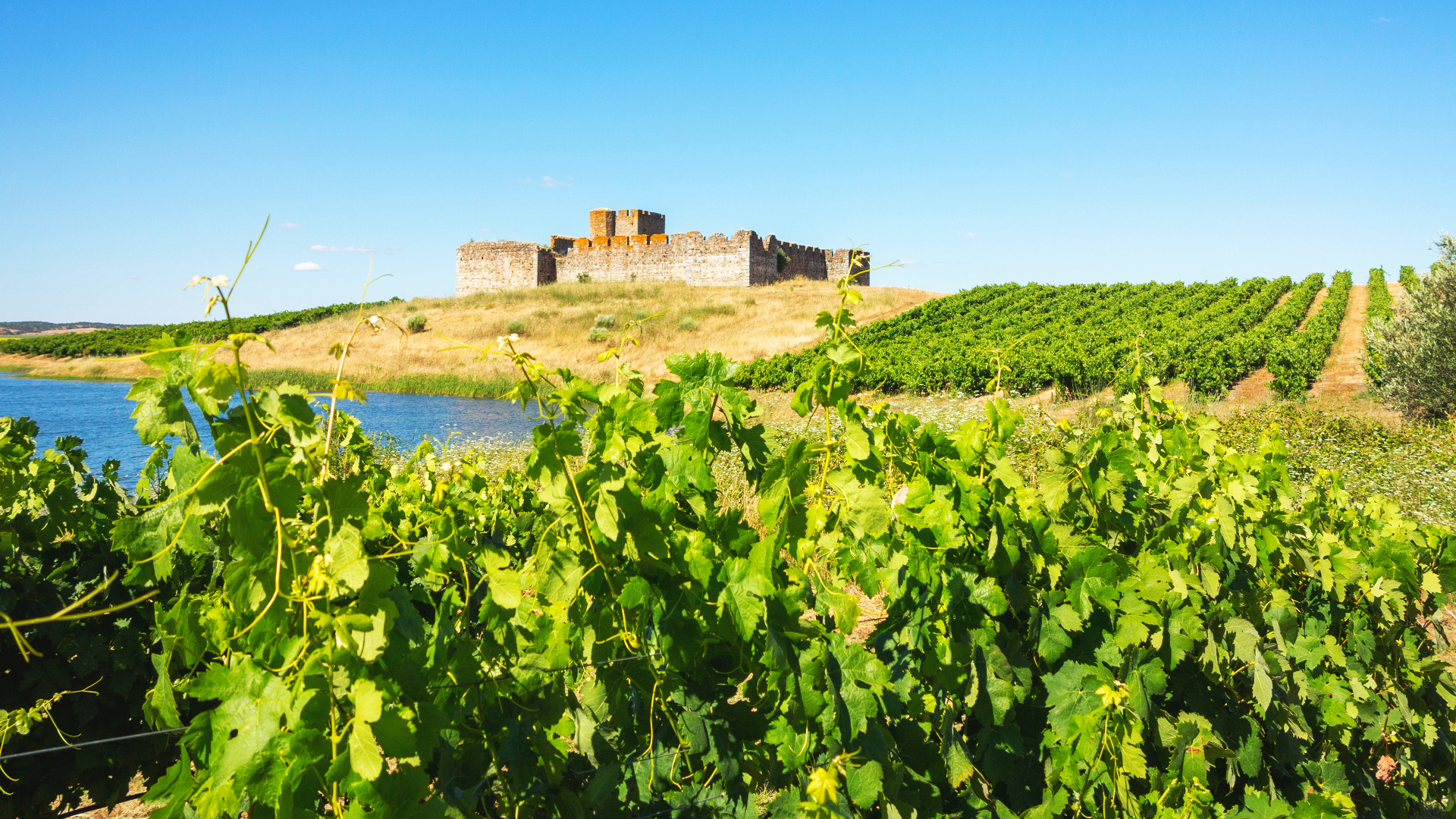 Castle of Valongo, Alentejo region