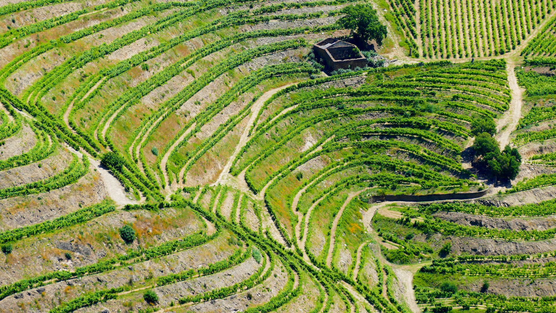 Stacked stone terraces known as socalcos