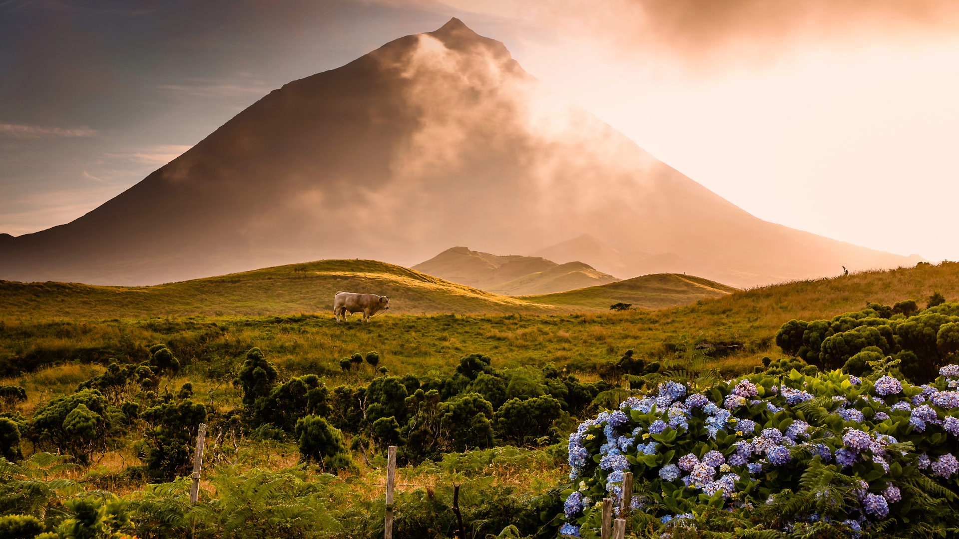 Volcano Pico-Azores Portugal