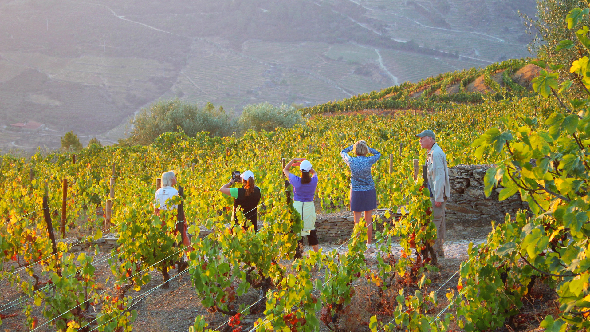 Nat Hab travelers guests go on vineyard tour in Douro River Valley Portugal Casa De Casal De Loivos