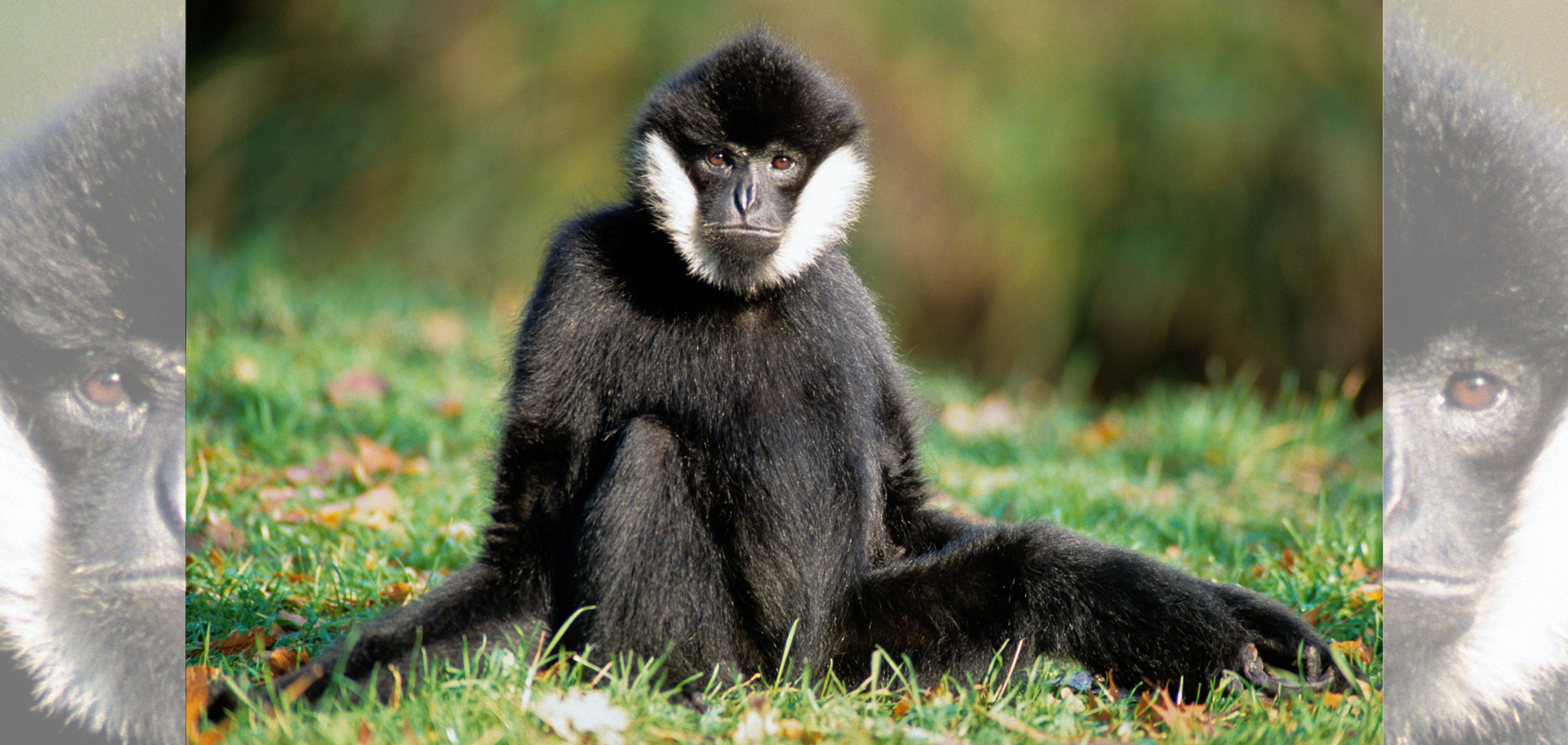 AdobeStock (Created by Candice Gaukel Andrews)