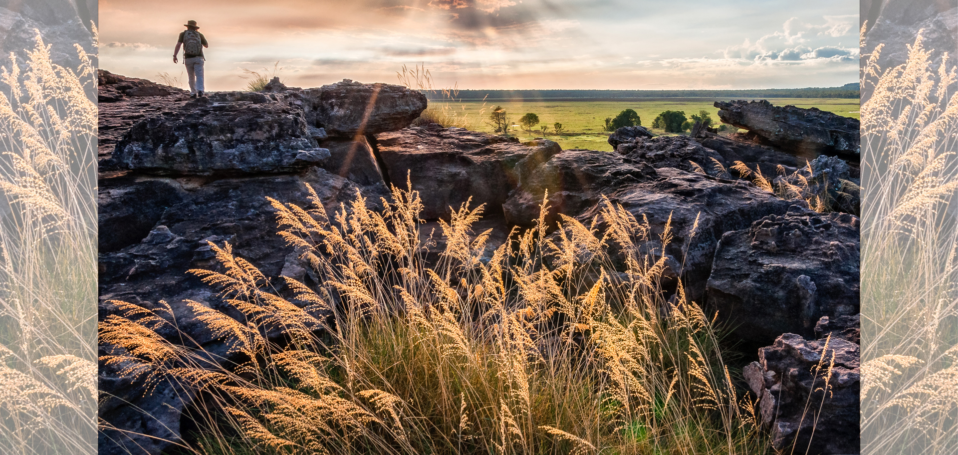 AdobeStock (Created by Candice Gaukel Andrews)