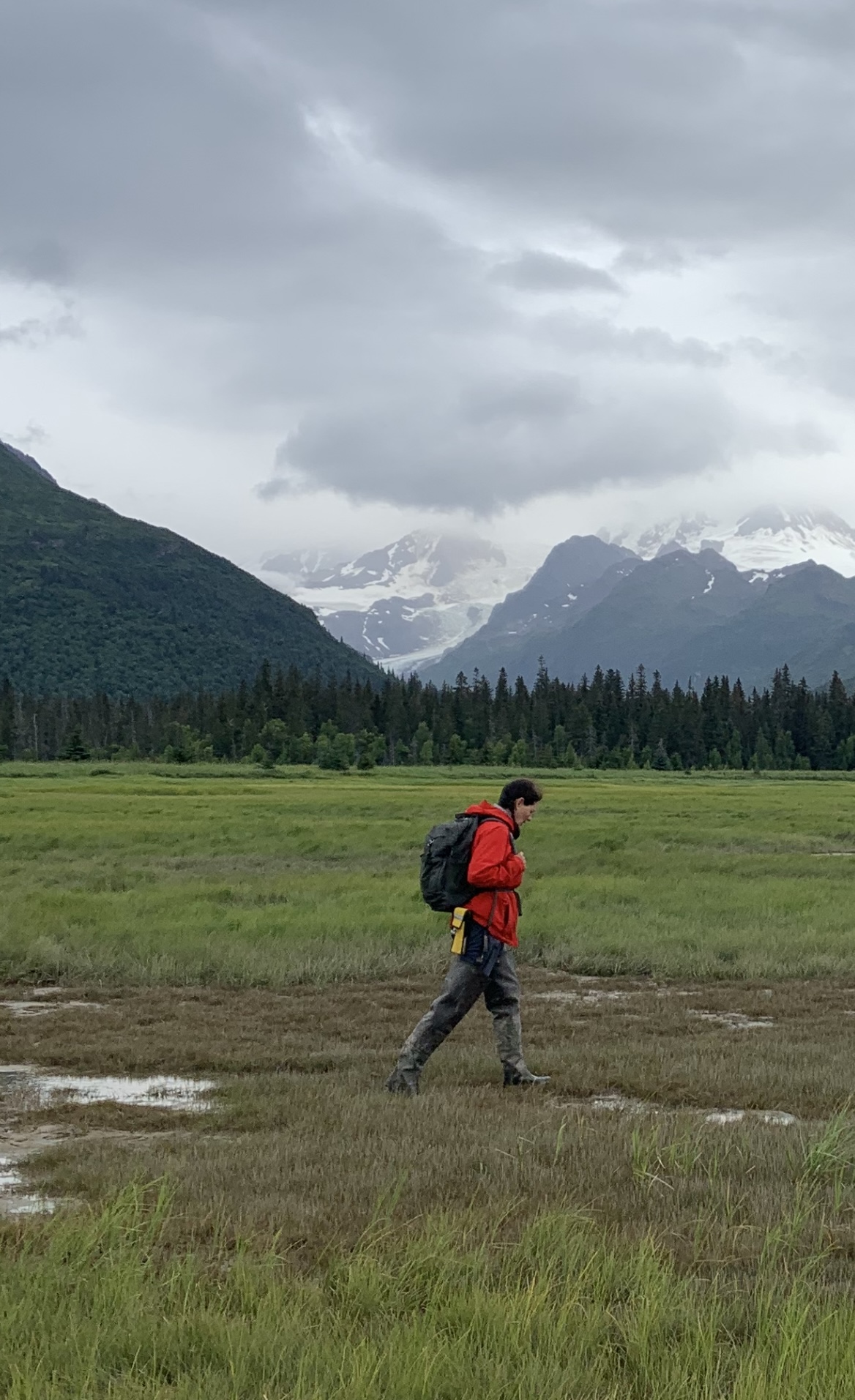 hiker in Alaska, brown bear, Lake Clark