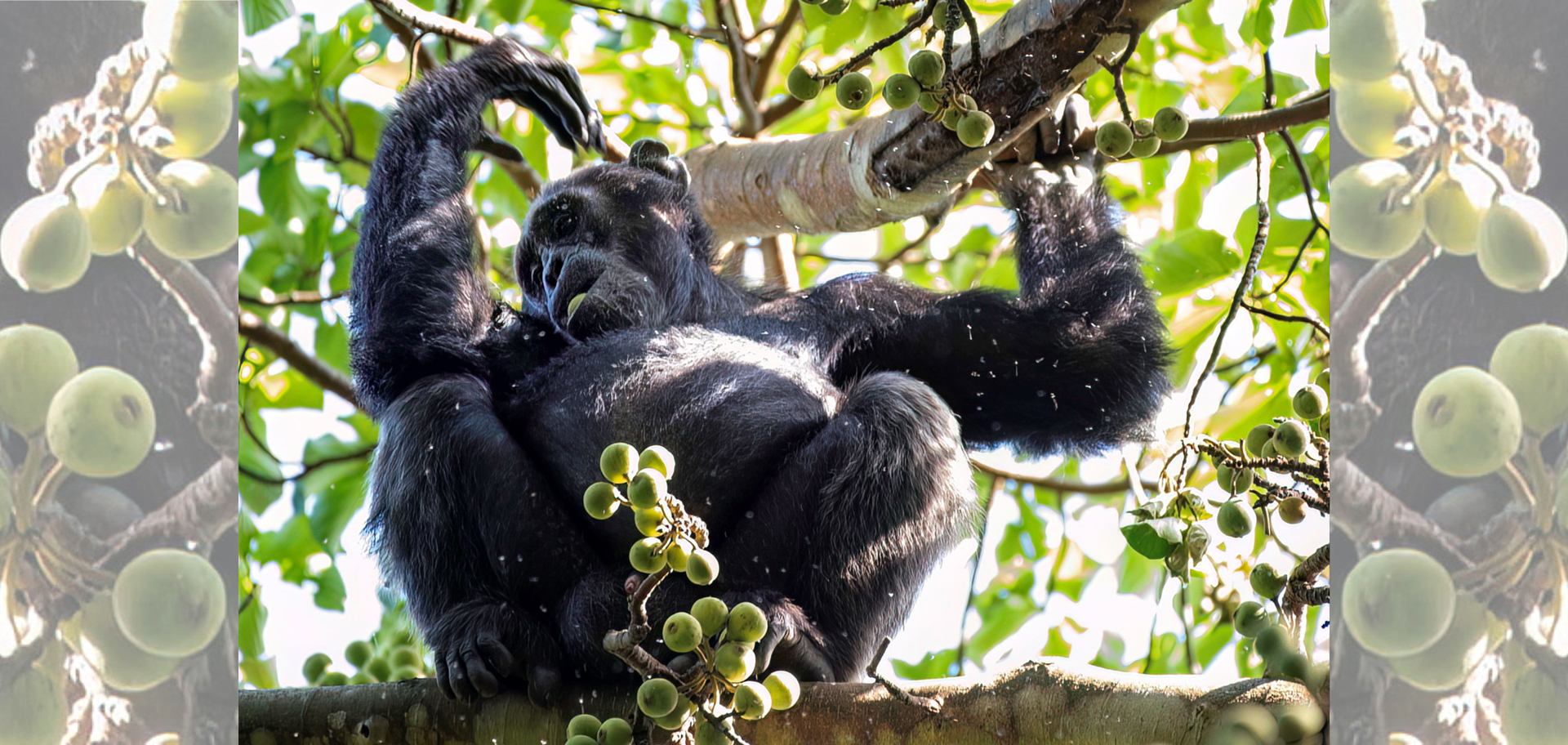 AdobeStock (Created by Candice Gaukel Andrews)