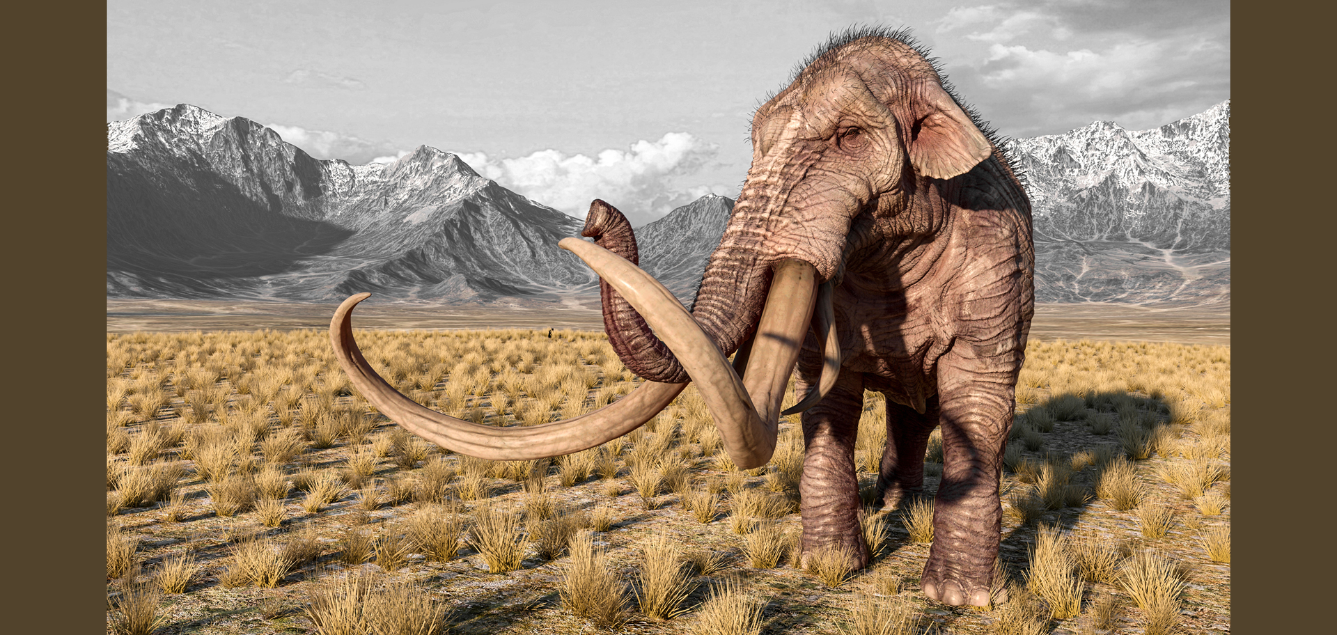 AdobeStock (Created by Candice Gaukel Andrews)