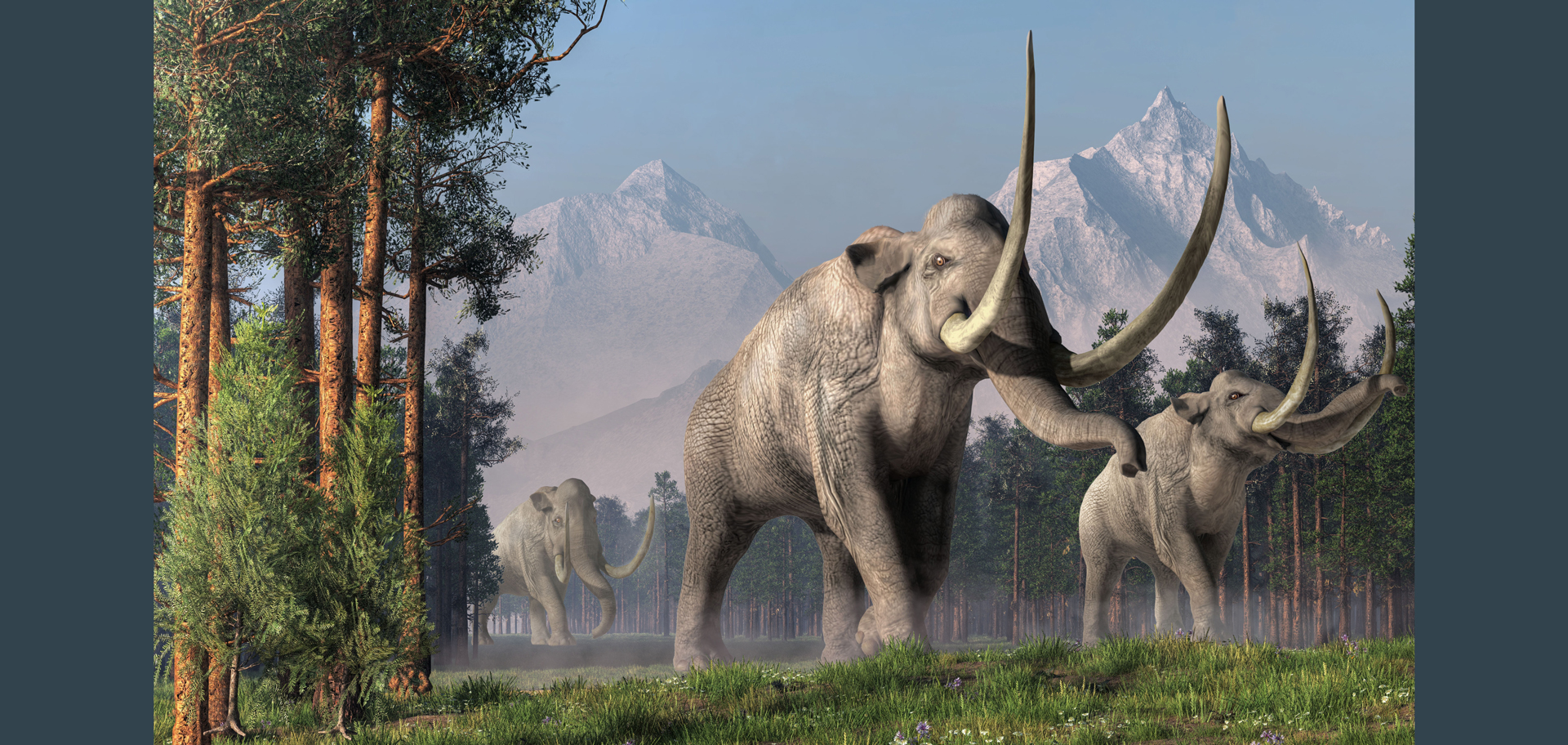 AdobeStock (Created by Candice Gaukel Andrews)