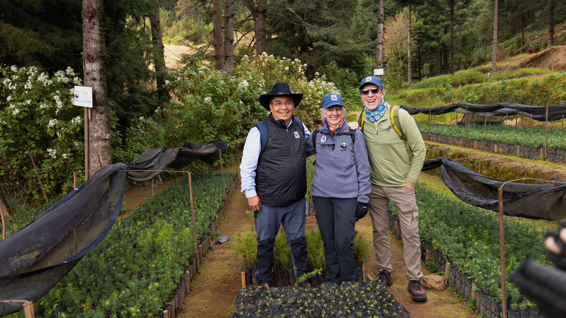 WWF, Monarch butterfly reserve